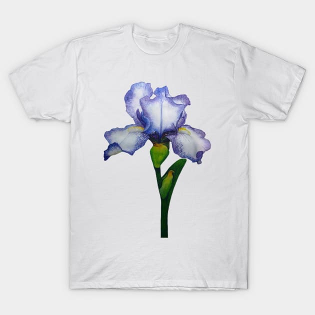 Little Iris T-Shirt by Irsaervin